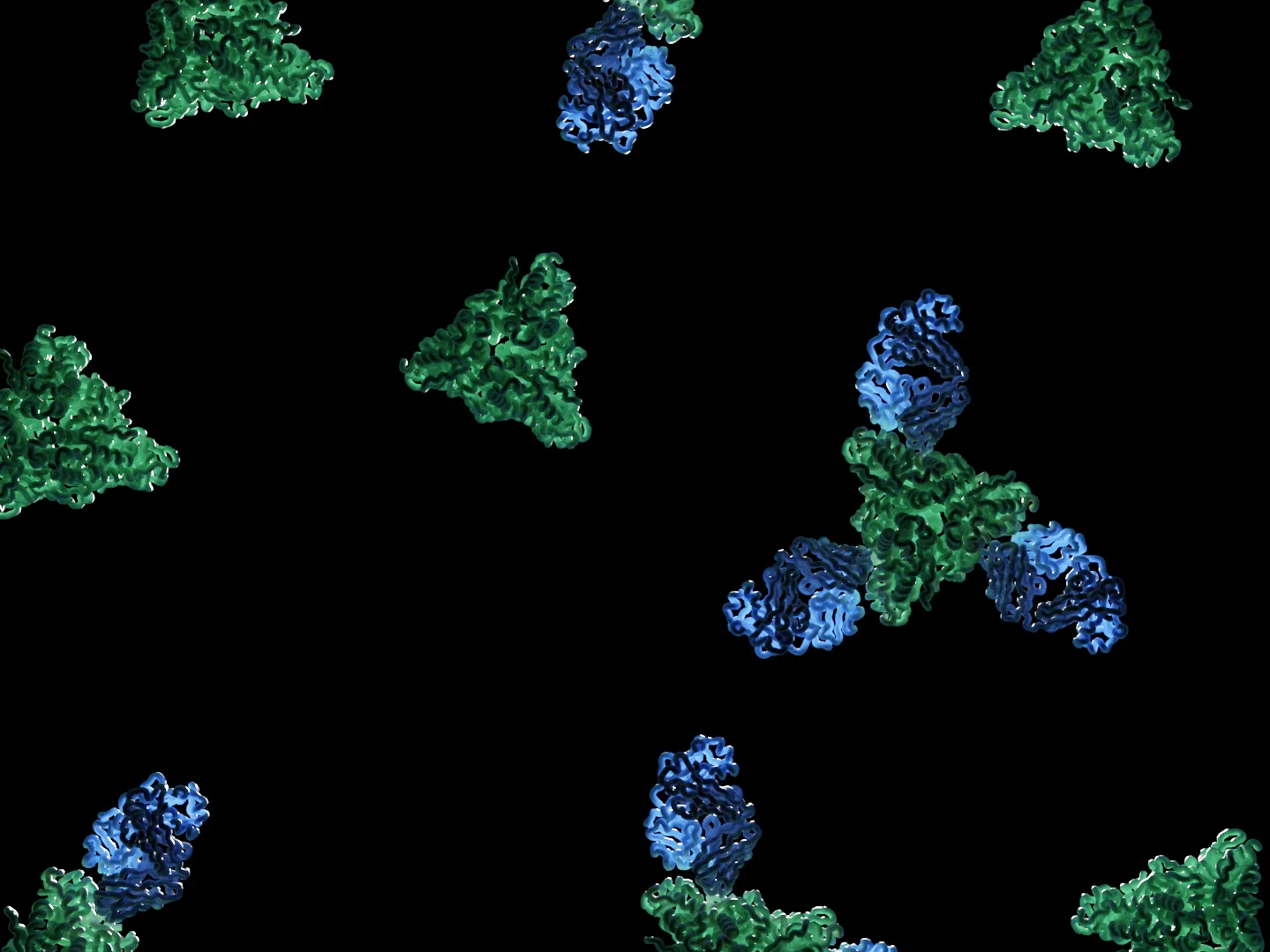 Molecular models of trimeric viral fusion protein ectodomains in green, several of them bound by antibody Fab fragments in blue.