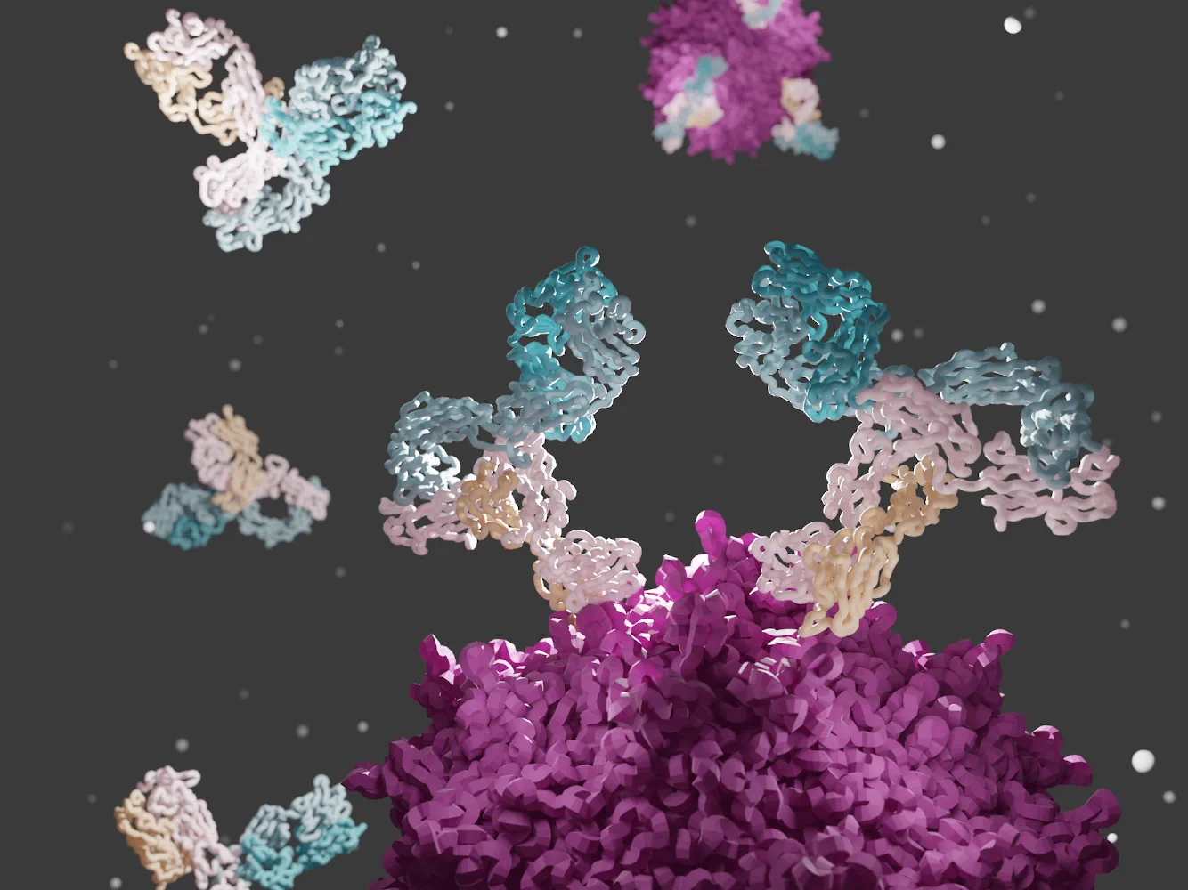 Illustration of teal and pink antibodies engaging the densely packed glycoprotein surface of a virus particle.